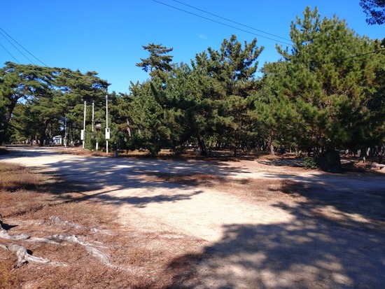 s_2025-10-17DSC_0449