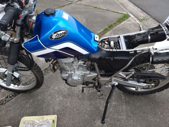 s_2025-06-25DSC_9834