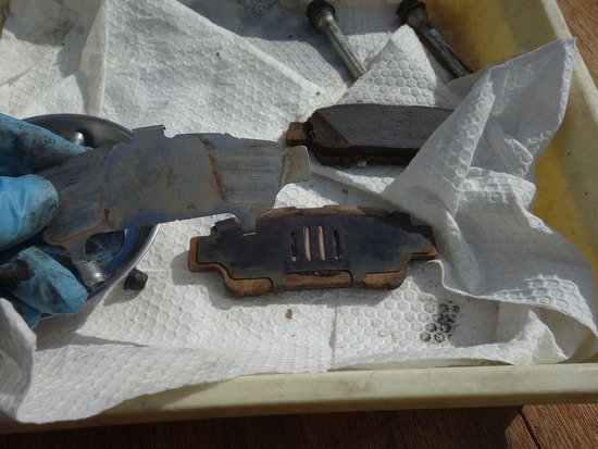 10s2024-01-16DSC00907