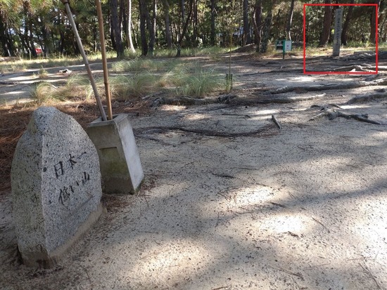 s_2025-10-17DSC_0459z