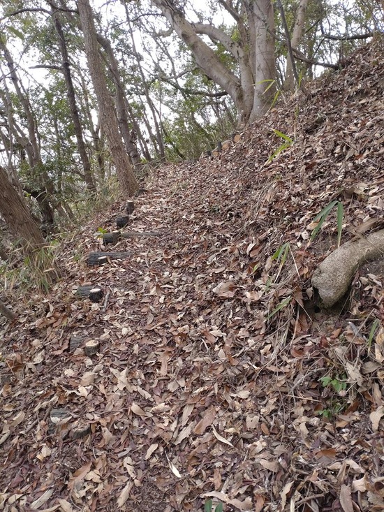 25s2023-03-09DSC_1123