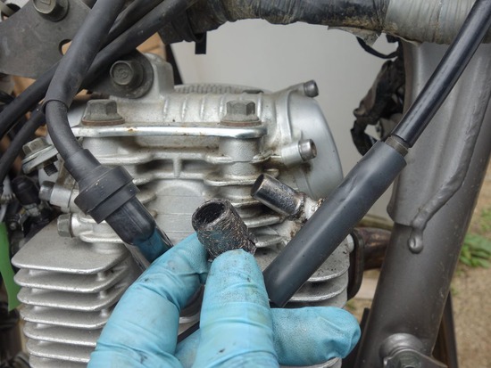 s_2025-06-07DSC02362