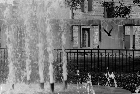 s_2011-02-25PICT0011a