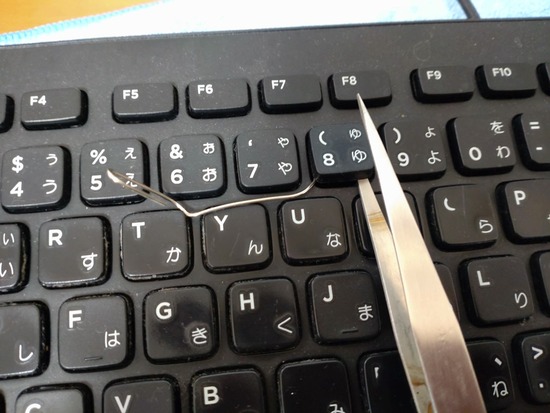 07-s_2025-03-16DSC_8445