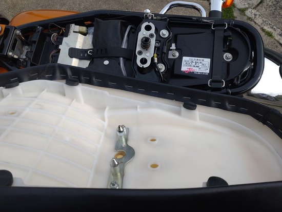 03-s2024-03-11DSC_4315