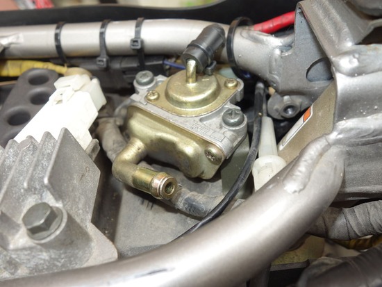 s_2025-06-07DSC02352