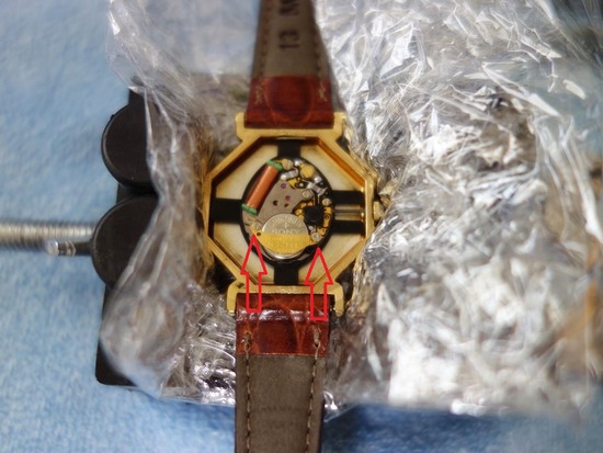 s2022-02-11DSC08696a