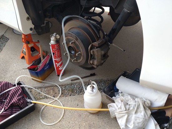 12-s2026-01-08DSC_1516