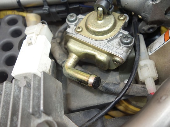 s_2025-06-07DSC02357