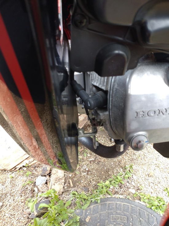 s_2025-05-12DSC_9309