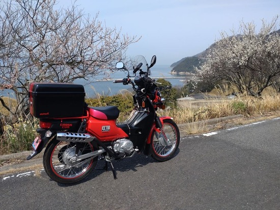 01s2023-03-09DSC_1086