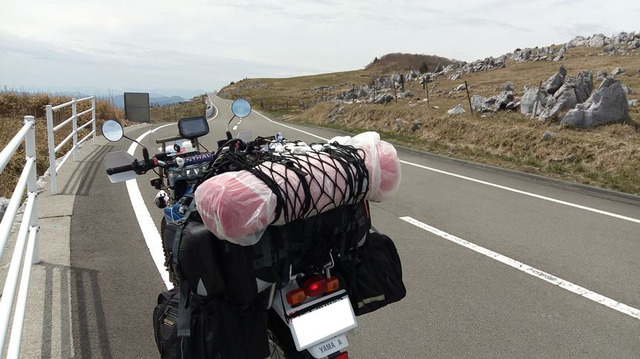 17sp-P_20190417_114606