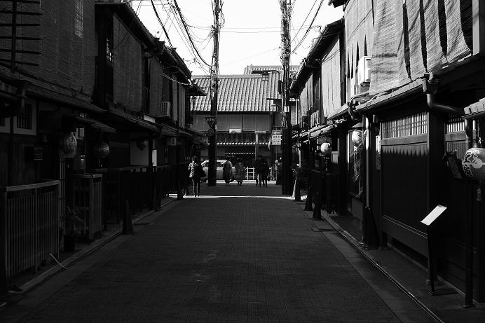 3e50fff5.jpg
