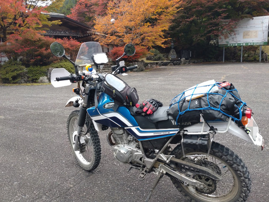 s2025-11-12DSC_0922a