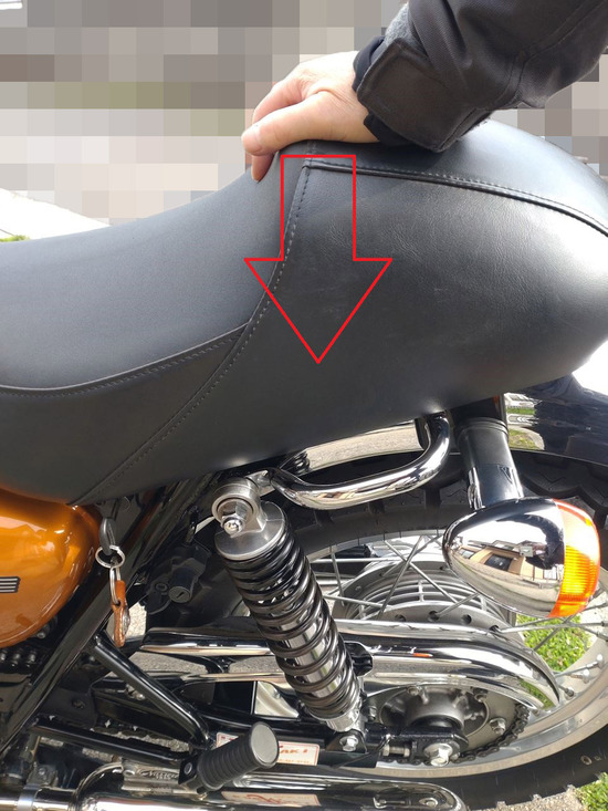 04-s2024-03-11DSC_4314a