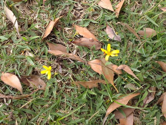 s_2025-06-18DSC_9790