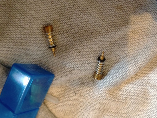 s_2025-06-25DSC_9830