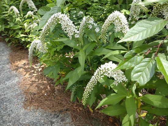 s_2025-06-27DSC_9844