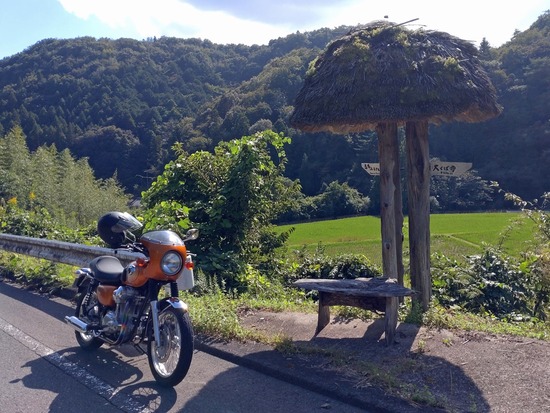 s_2025-10-07DSC_0314