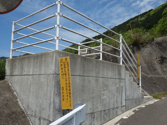ｓ20210422DSC05134