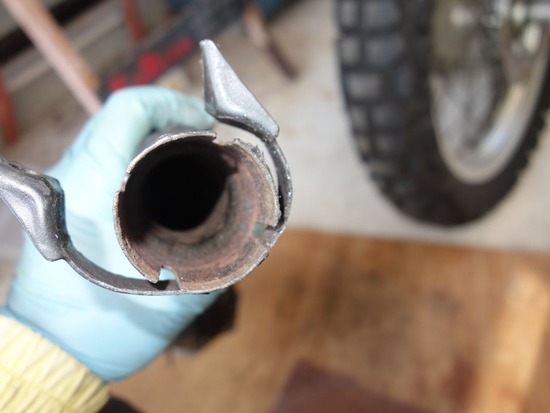 06-s_2025-04-07DSC02086