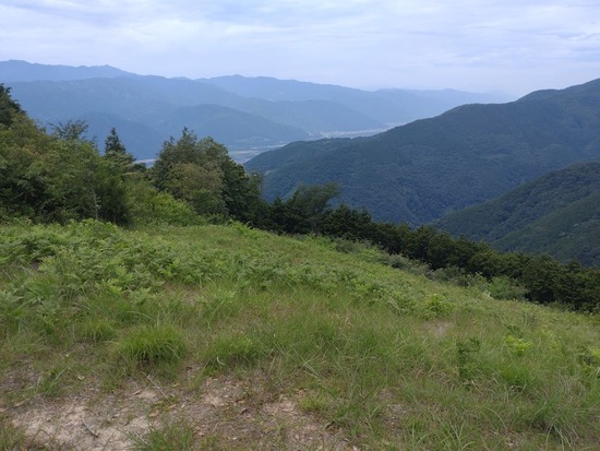 s_2025-06-18DSC_9793