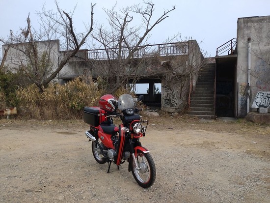 33s2023-03-09DSC_1141