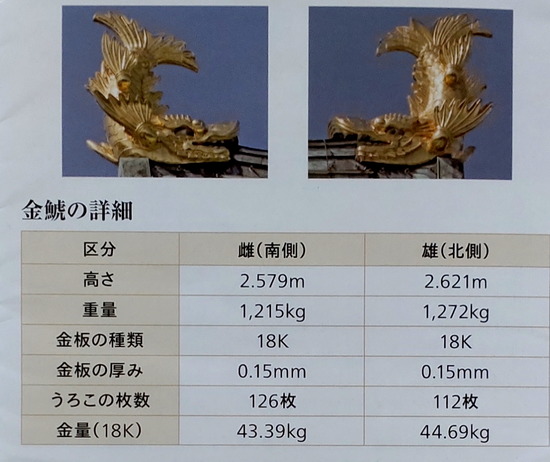 s2024-04-15DSC_6494-B