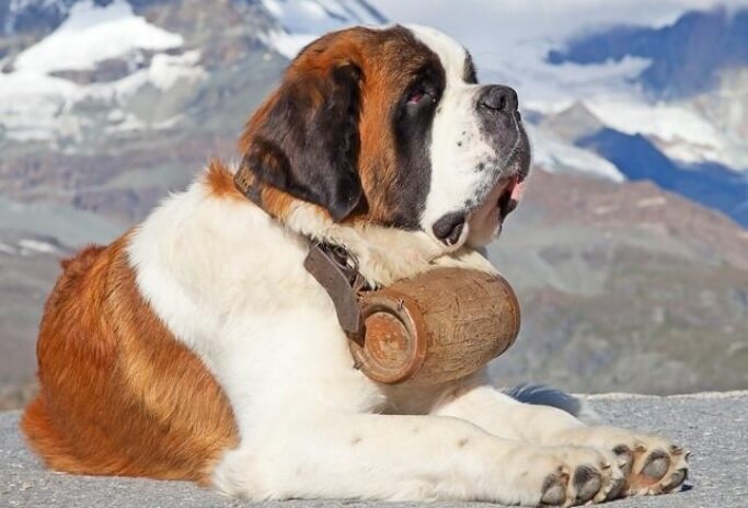 Michiruブログ ツールバッグをきれいにしてみた ﾟ ﾟ