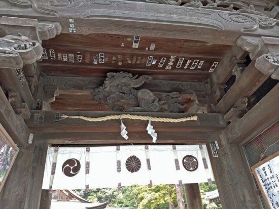 s2023-04-18DSC_1777a