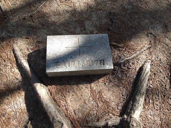 s_2025-10-17DSC_0455