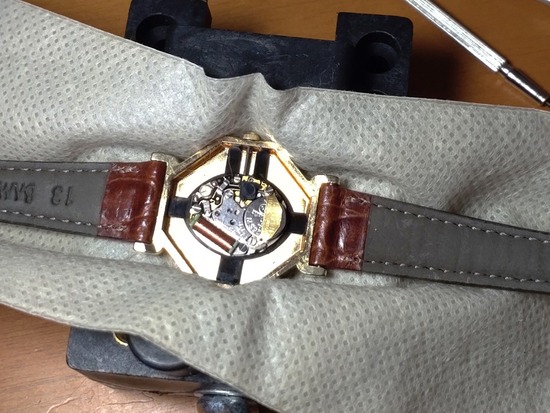 13-s_2025-03-16DSC_8472Z