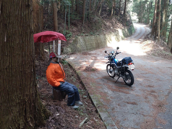 s2024-03-14DSC_4342a