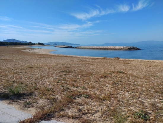 s_2025-10-17DSC_0466