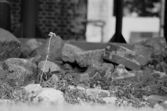 s_2011-02-25PICT0022a
