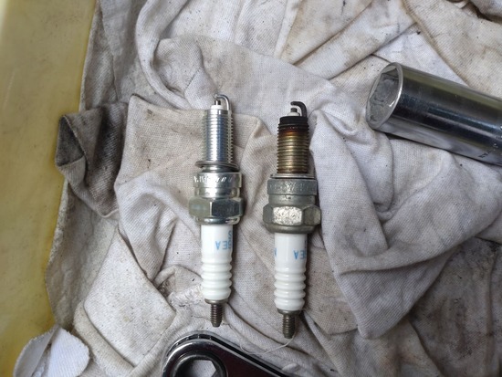 s_2025-05-12DSC_9315