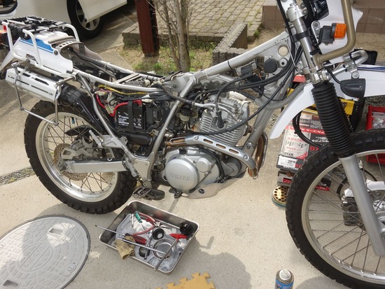 01-s_2025-05-23DSC02249