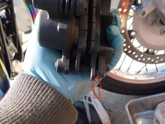 05-s2026-02-02DSC09316