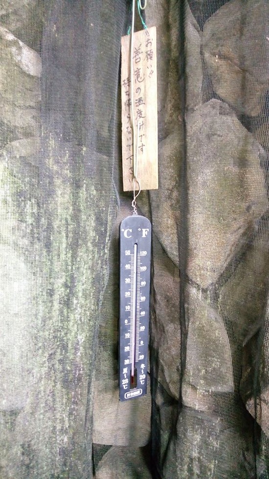 23-sp-P_20191213_130519