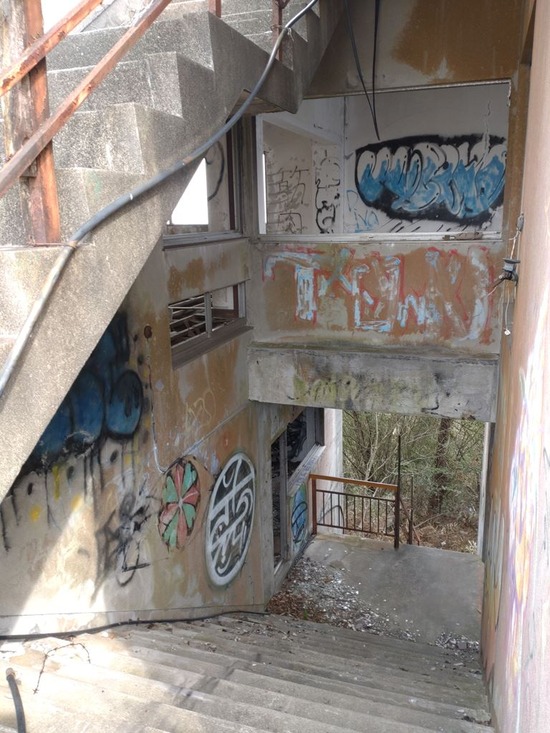 37s2023-03-09DSC_1143