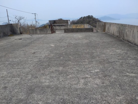 38s2023-03-09DSC_1149