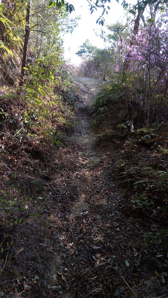 ｓ20210326P_20210326_153456