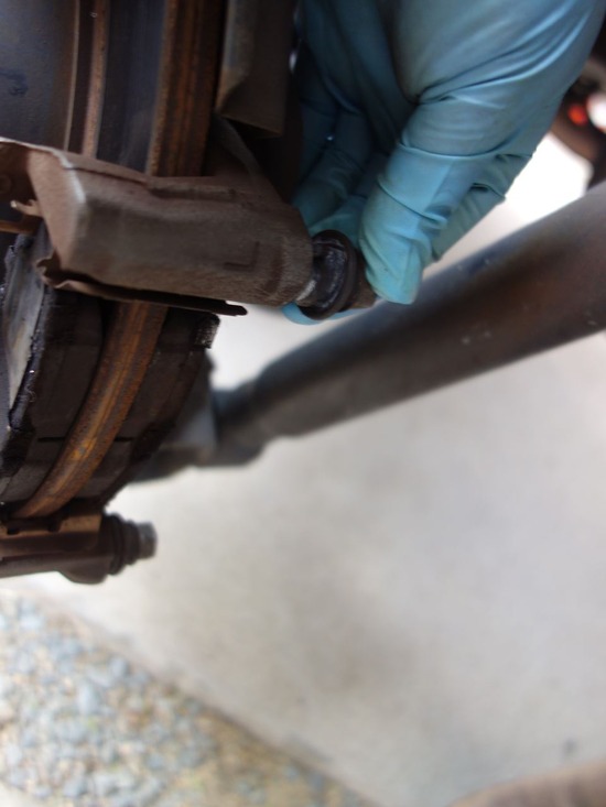 06-s2026-01-08DSC09173