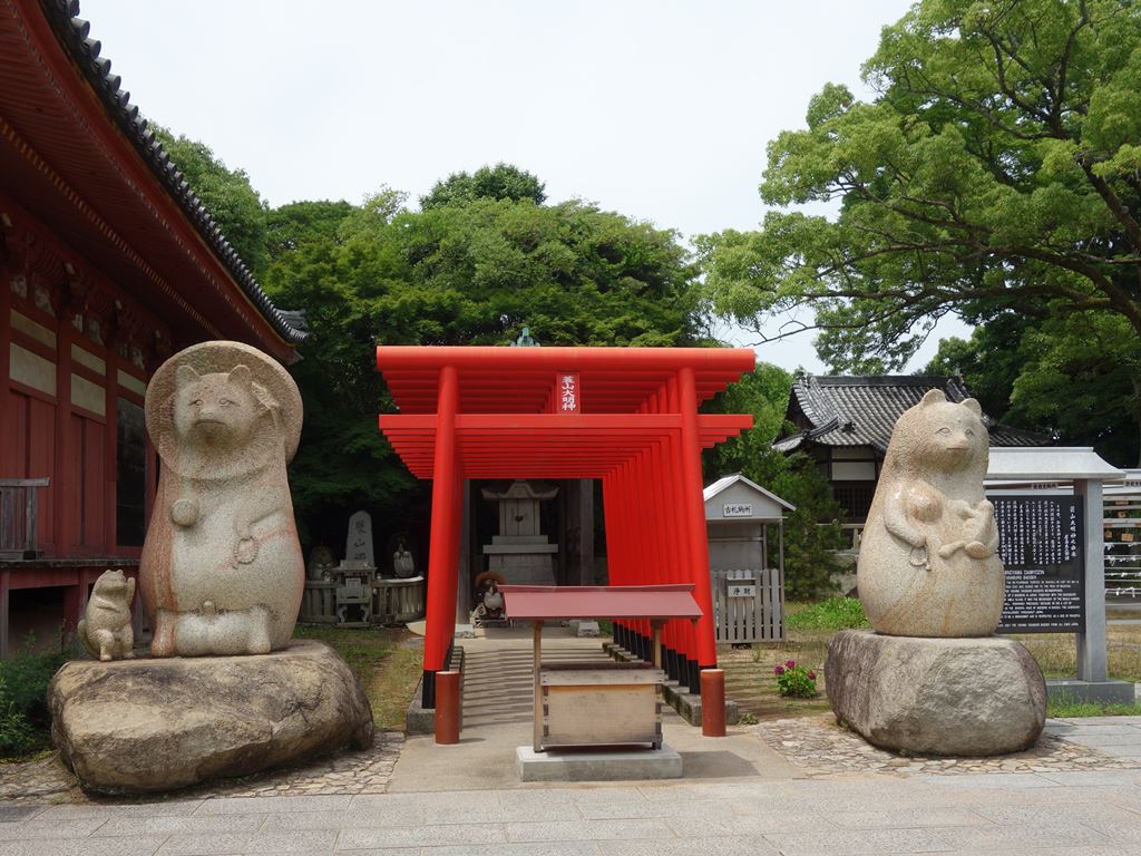Michiruブログ 屋島へお出かけvol4 屋島寺と蓑山大明神のスーパー狸