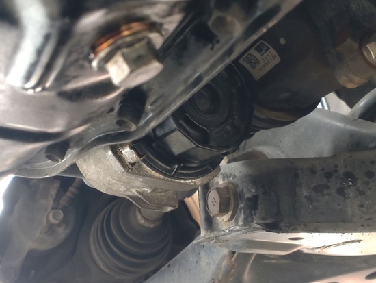 s_2025-05-12DSC_9303