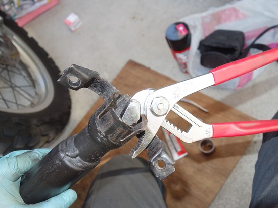 09-s_2025-04-07DSC02091