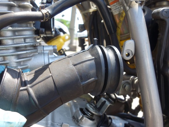 s_2025-06-05DSC02337