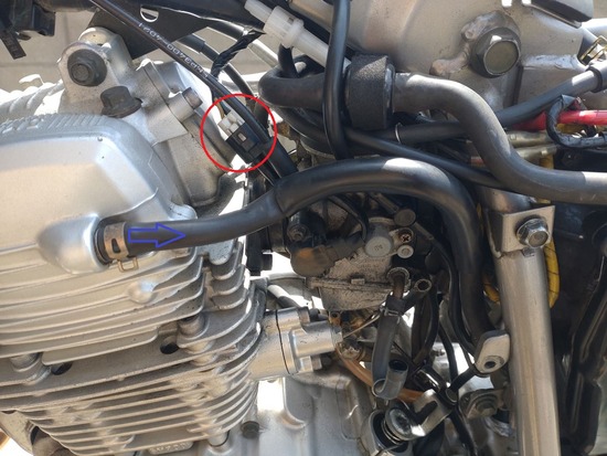 13-s_2025-05-23DSC_9601 - コピーa