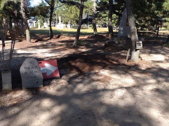 s_2025-10-17DSC_0452