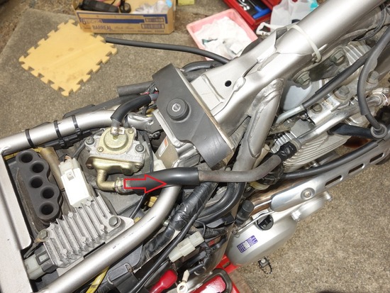 11-s_2025-06-02DSC02271a